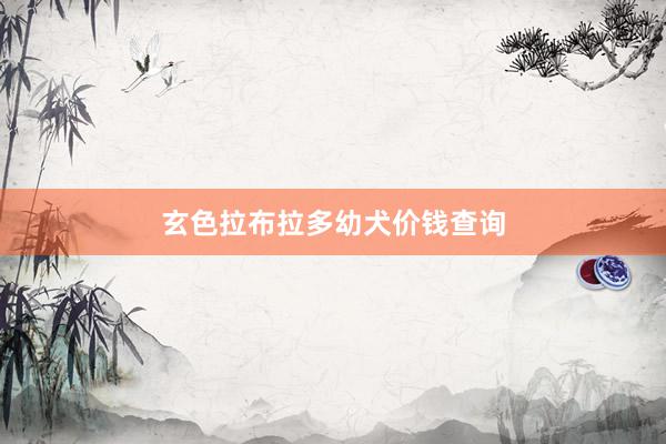 玄色拉布拉多幼犬价钱查询
