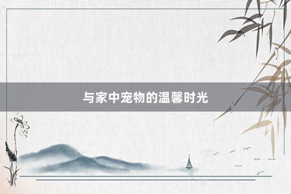 与家中宠物的温馨时光